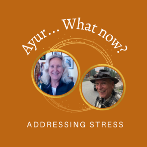 Episode 42: Addressing your Stressing