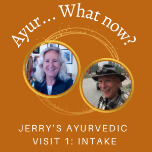 Episode 45: Ayurvedic Intake on Jerry!