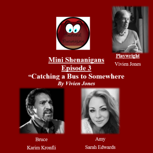 Mini Shenanigans - Episode 3 - ”Catching A Bus to Somewhere" by Vivien Jones