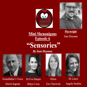 Mini Shenanigans - Episode 6 - "Sensories" by Sam Heyman