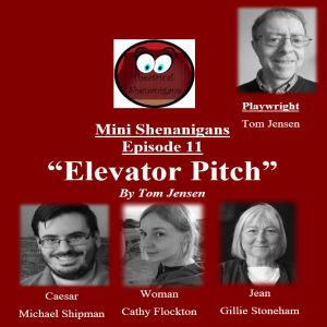 Mini Shenanigans - Episode 11 - "Elevator Pitch" by Tom Jensen