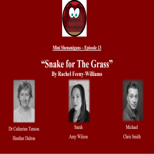 Mini Shenanigans - Episode 13 - ”Snake for the Grass” by Rachel Feeny-Williams