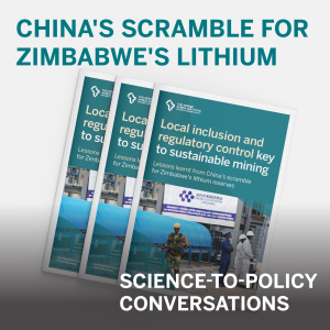 Researcher on mining in Zimbabwe: “Currently, we see lithium mines just exporting to China”