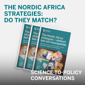 Talking about the Nordic's new Africa strategies — distinct but not incompatible