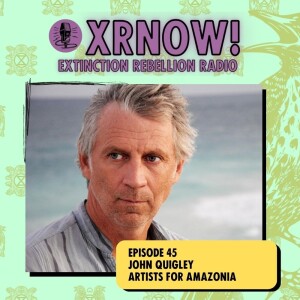 John Quigley, Artists for Amazonia