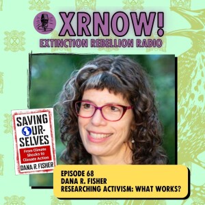 Dana R. Fisher, Researching Activism: What Works?