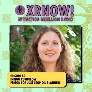 Indigo Rumbelow - Prison for Just Stop Oil Planners
