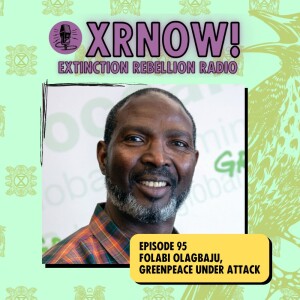 Folabi Olagbaju, Greenpeace Under Attack
