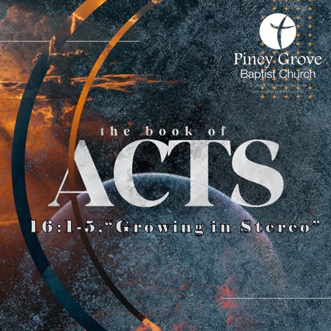 Piney Grove Baptist Church