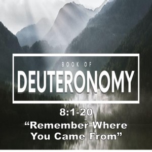 ”Remember Where You Came From,” Deuteronomy 8:1-20