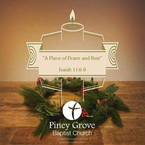 Piney Grove Baptist Church