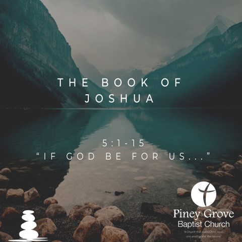 Piney Grove Baptist Church