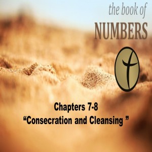 Numbers 7-8 