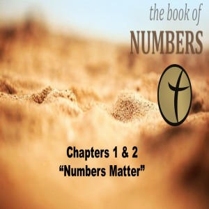 An Introduction To The Book of Number: 