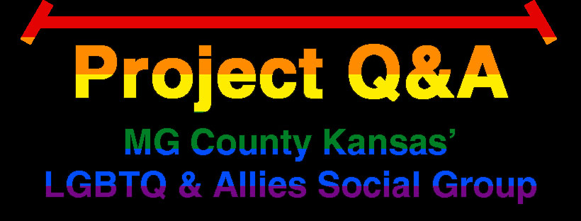 Community Organization: Project Q & A