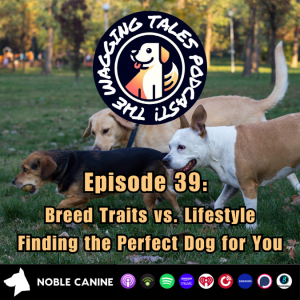 Episode 39 - Breed Traits vs. Lifestyle: Finding the Perfect Dog for You