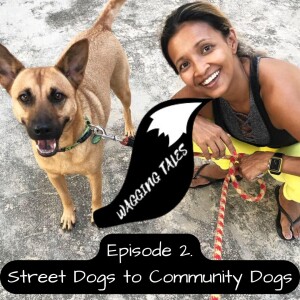 Street Dogs to Community Dogs