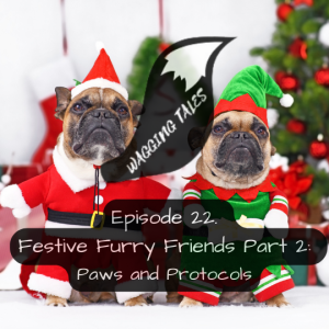 Festive Furry Friends Part 2: Paws and Protocols for the Holidays