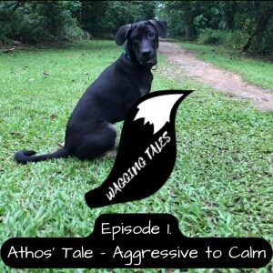 Athos’ Tale - Aggressive to Calm