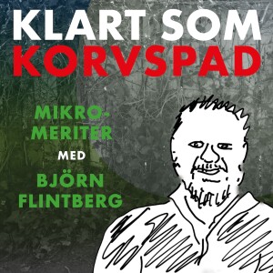 Mikromeriter med Björn Flintberg