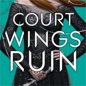 A Court of Wings and Ruin: A Summary Overview