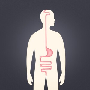 Gut: Harnessing the Power Within for Optimal Health