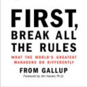 First, Break All the Rules: Key Insights and Summary