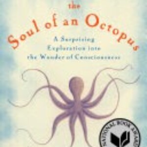 The Soul of an Octopus: Exploring Sentience and Connection