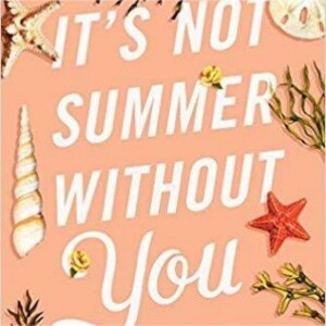 It's Not Summer Without You: A Comprehensive Summary