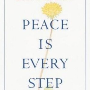 Peace Is Every Step: Thich Nhat Hanh’s Guide to Mindfulness