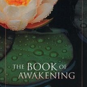 The Book of Awakening: A Journey to Mindfulness and Clarity