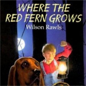 Where the Red Fern Grows: A Heartfelt Plot Summary