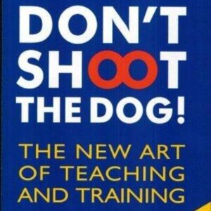 Don't Shoot The Dog! Audio Summary: Mastering Behavior Change with Positive Reinforcement