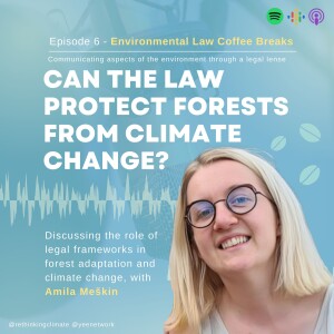 On Climate & Law: Can Laws protect forests from climate change? With Amila Meškin (EUSTAFOR)