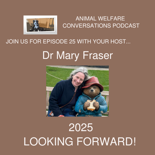 2025 - Looking Forward 2025 - Looking Forward