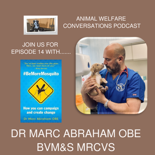 Episode 14 - Dr Marc Abraham OBE, Campaigning for lasting change