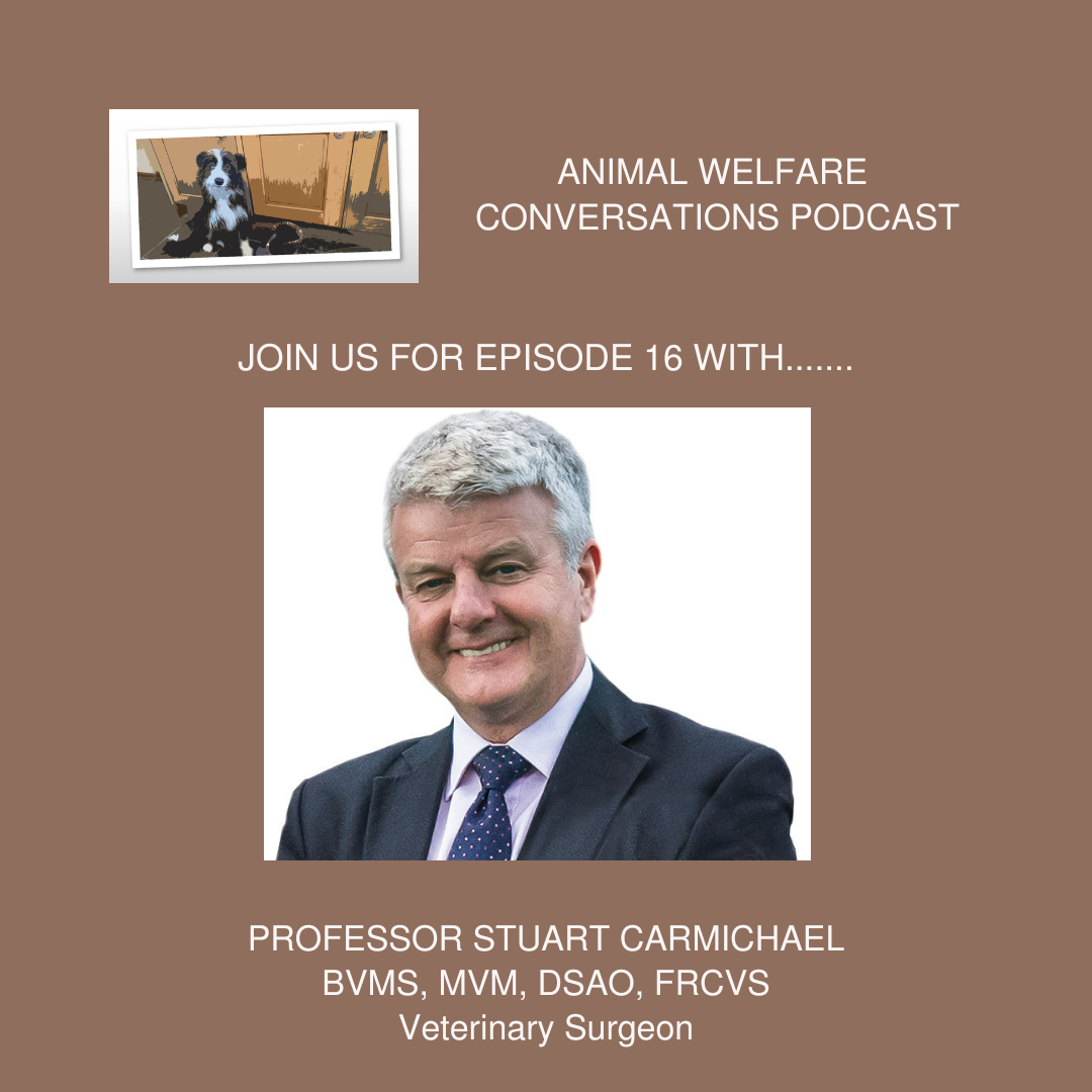 Episode 16 - Prof Stuart Carmichael - The impact of arthritis on animal welfare