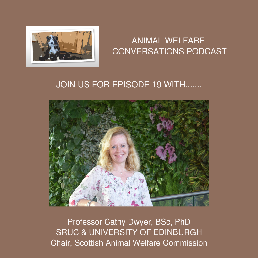 Episode 19: Prof Cathy Dwyer - Using the Evidence to Support Animal Welfare