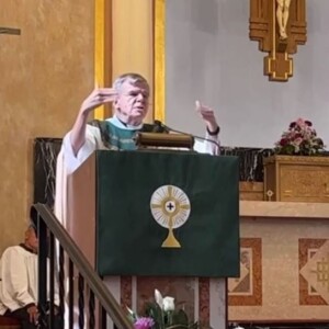 Fr. Norm’s Homily - Called to Build the Kingdom of God on Earth