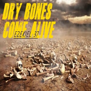 Heart of Stone and Flesh, and a Valley of Dry Bones