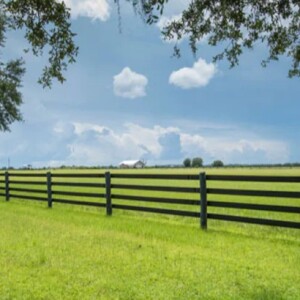 The Boundary Lines Have Fallen for Me in Pleasant Places: Psalm 16:6