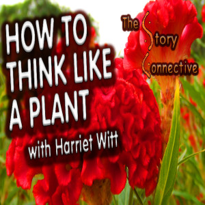 How To Think Like A Plant with Harriet Witt