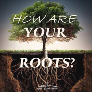 How Are Your Roots?