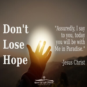 Don't Lose Hope