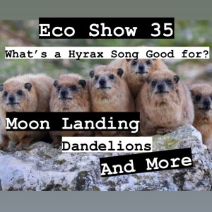 Eco Show 35 | What’s a Hyrax Song Good for? Moon Landing, Dandelions, and moreeee