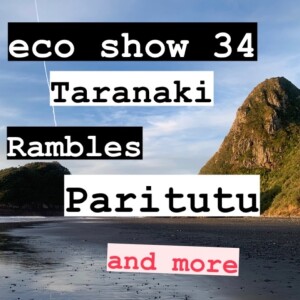 eco show 34 | Taranaki, paritutu, the research I’m doing