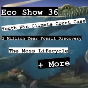 Massive Fossil Discovery, Youth Win Climate Court Case, Ocean Clean Up Breakthrough, and more | Eco Show 36