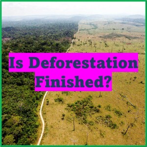 Is Deforestation Over? And More | Eco Show 51