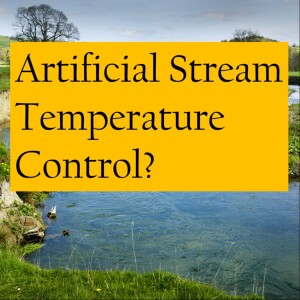 Can We Artificially Control River Temperatures? And More | Eco Show 52