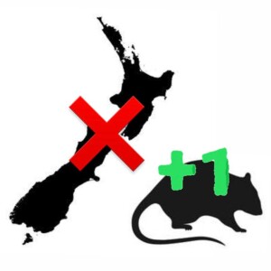 Why did rats EAT Aotearoa? And More | Eco Show 40